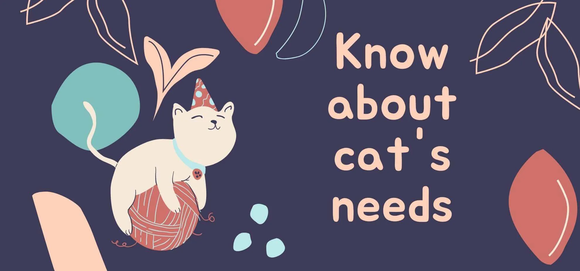 What are the 10 things cats need?