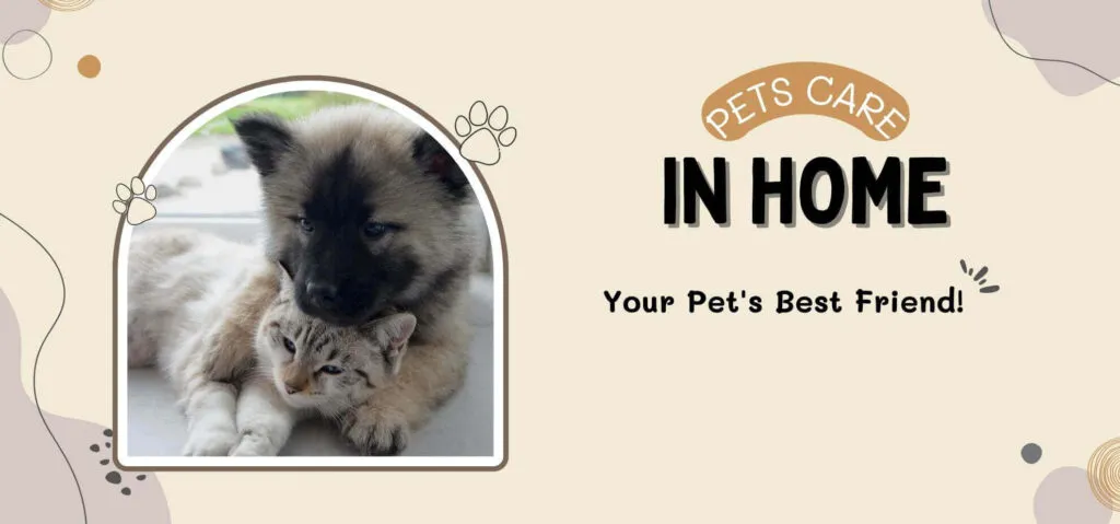What are the useful tips for pets?