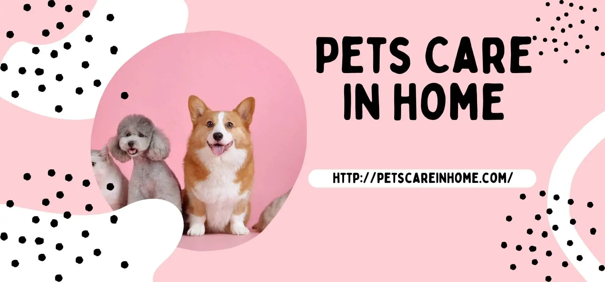 Dog’s breed gets along best with cats