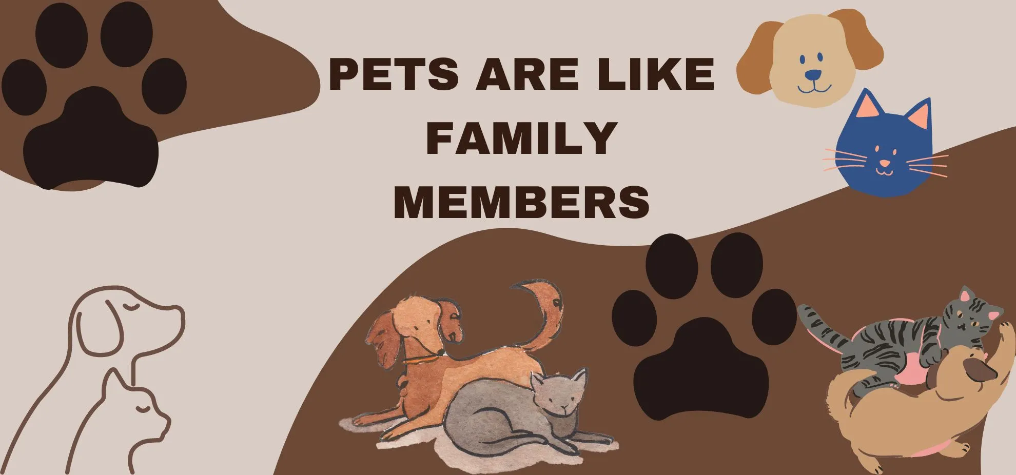 What are the basic needs of a pet?