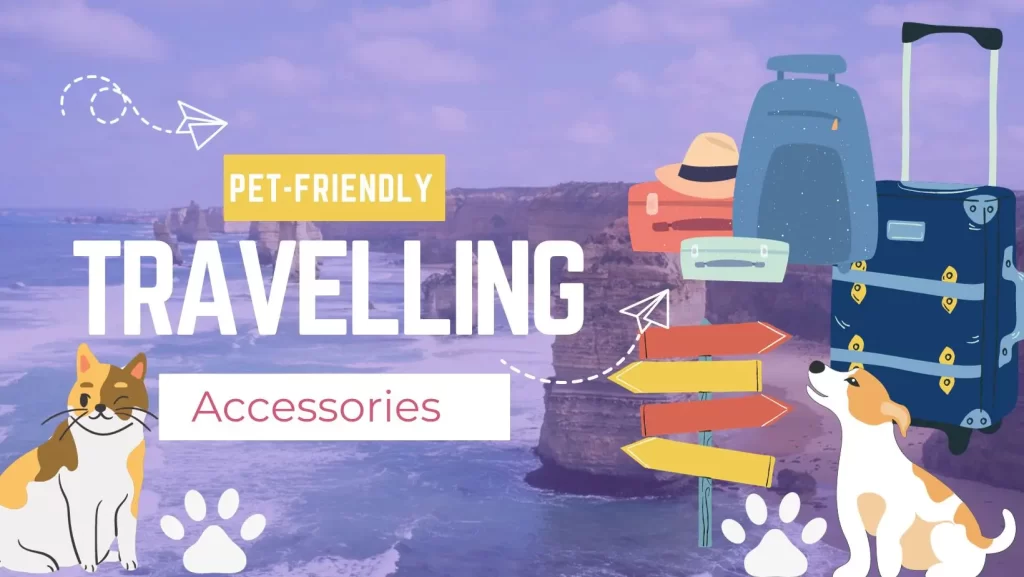 Pet-Friendly Travel Accessories