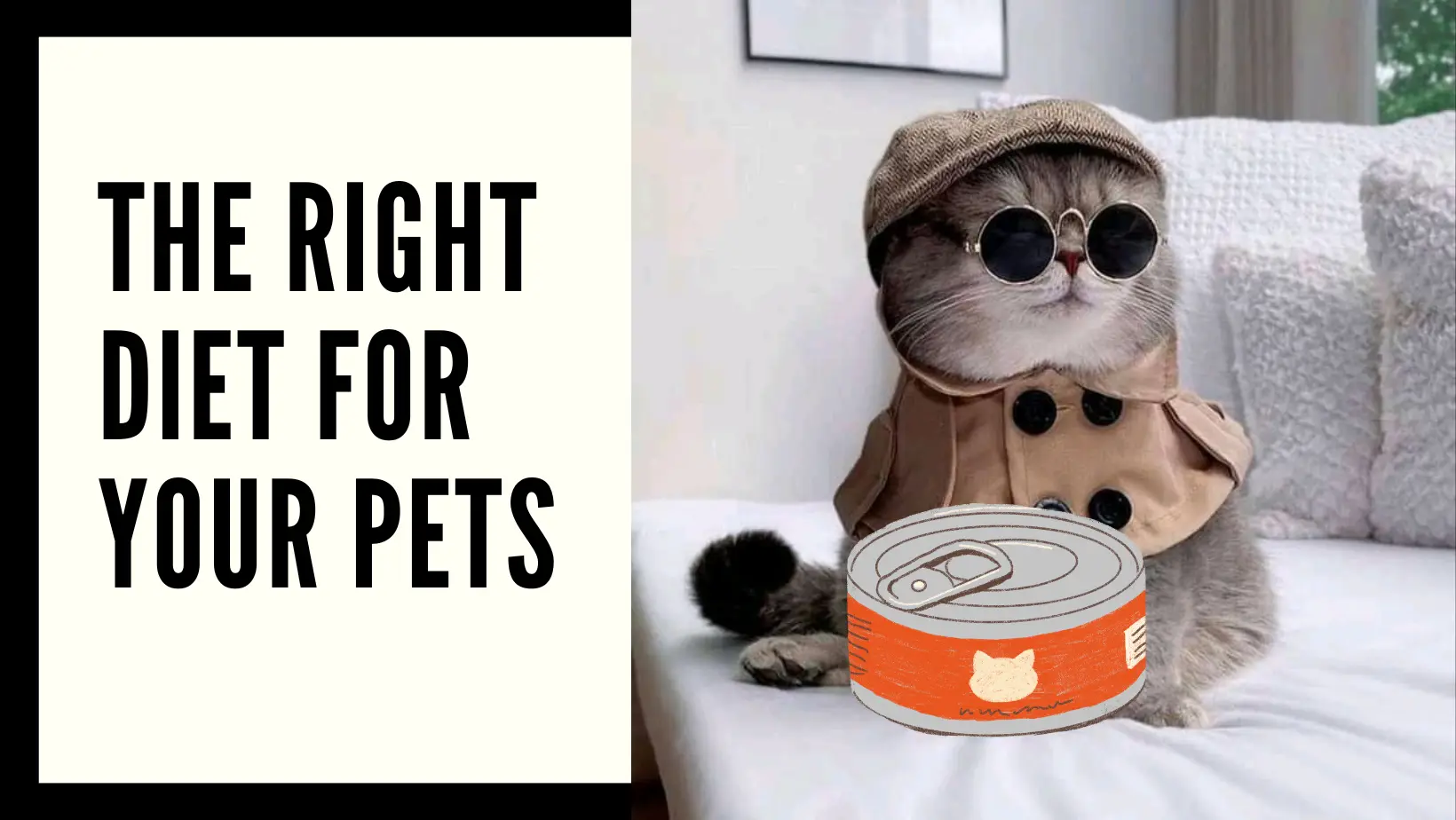 Choosing the Right Diet for Your pets