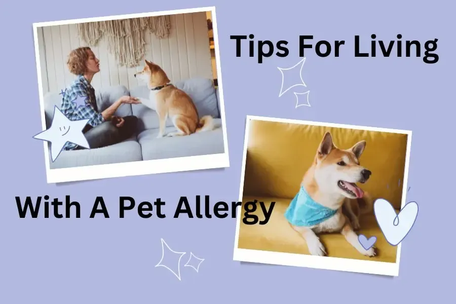 Tips for Living with a Pet Allergy