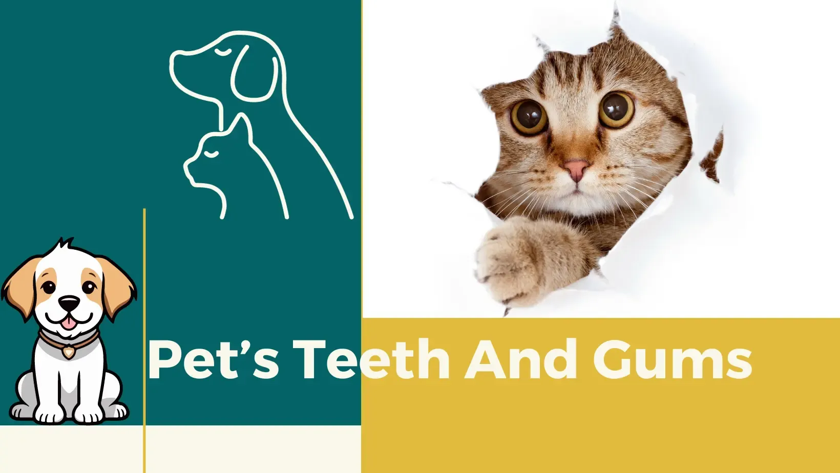 Tips for Keeping pet’s Teeth and Gums Healthy