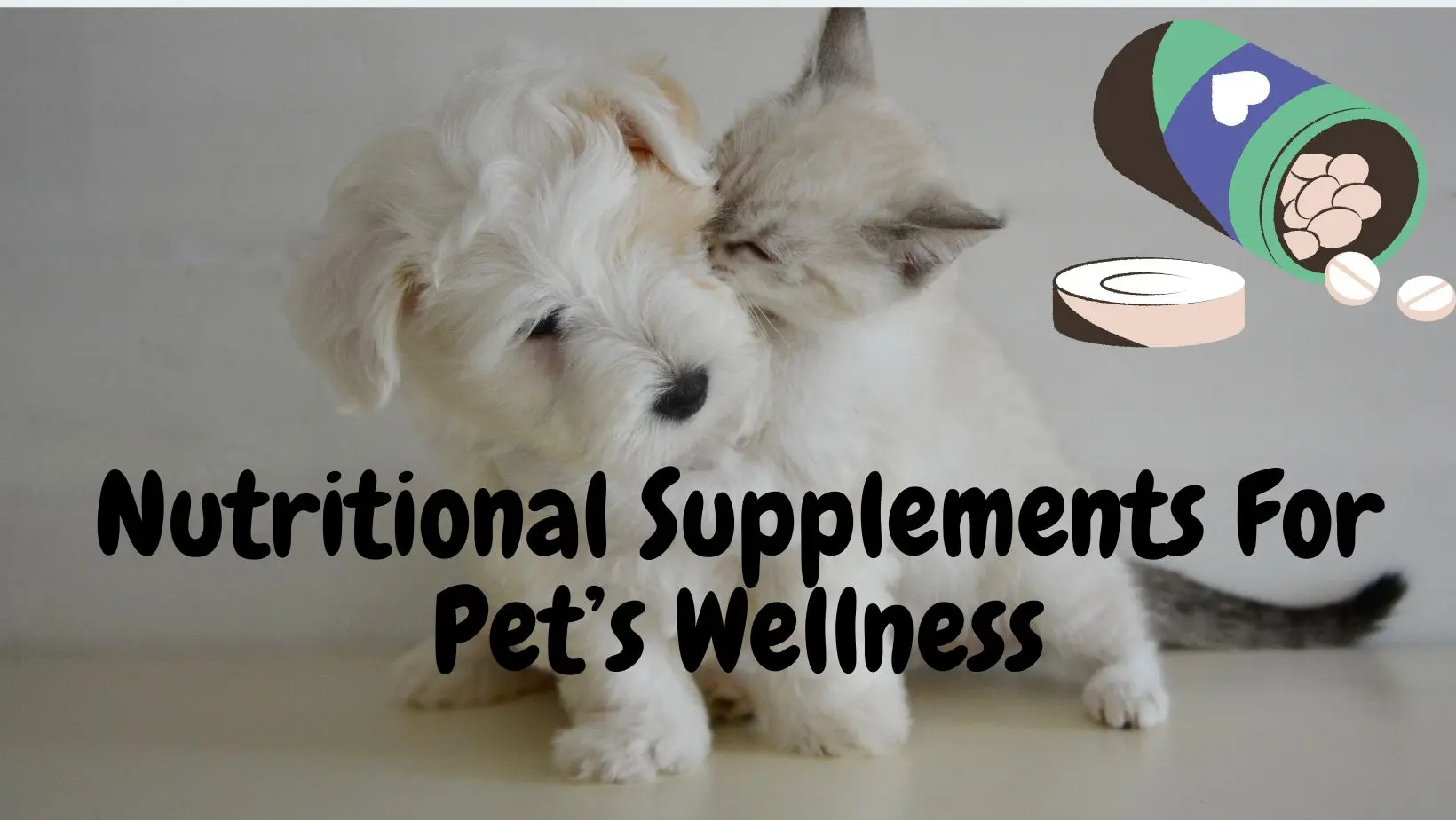 Nutritional Supplements for Pet’s Wellness