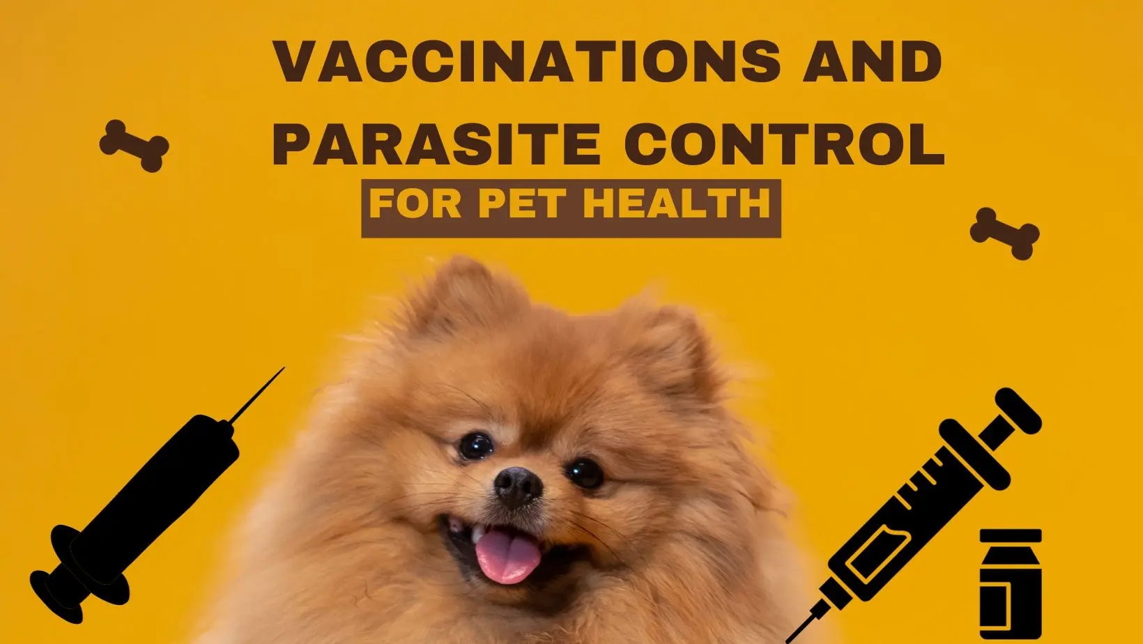 Vaccinations & Parasite Control for Pets