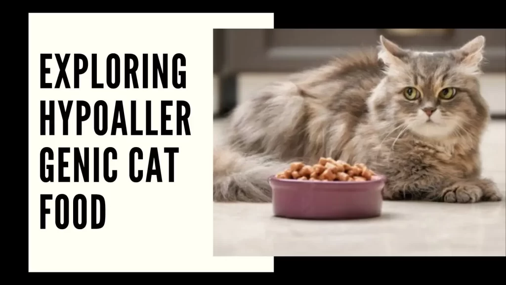 hypoallergenic-cat-food
