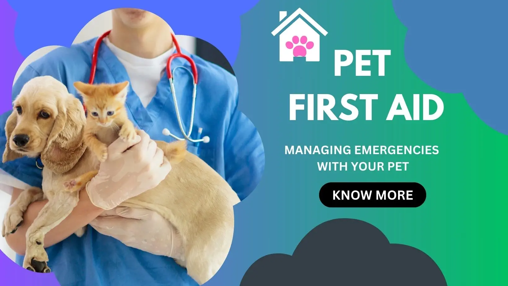 Pet First Aid: Managing Pet Emergencies