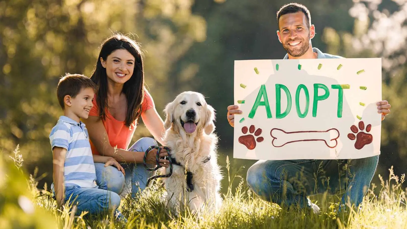 The Benefits of Fostering Pets