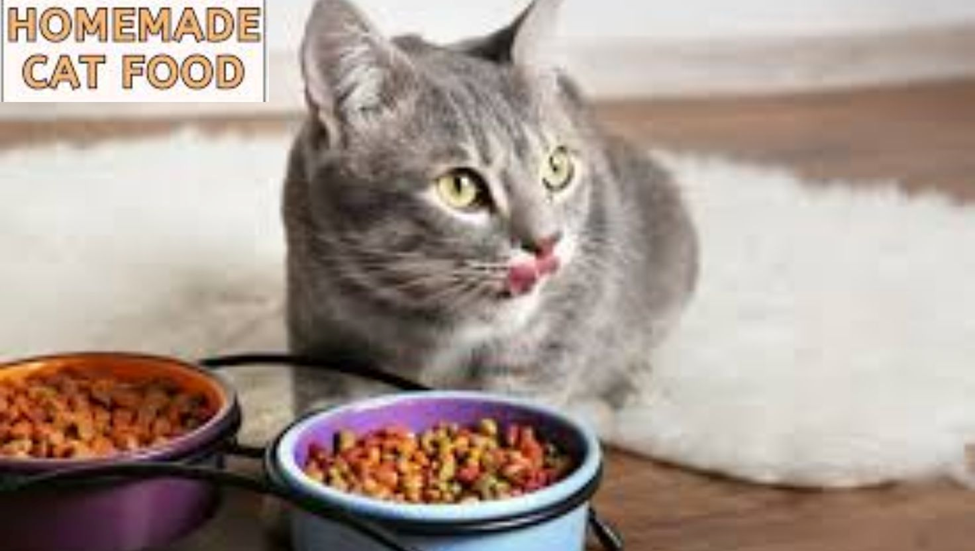 The Ultimate Guide to Homemade Cat Treats: Healthy Recipes Your Feline Will Adore