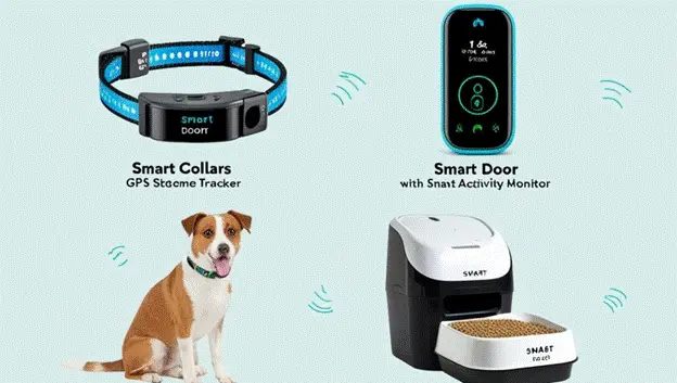 The Role of Technology in Pet Security: Innovative Gadgets You Should Consider