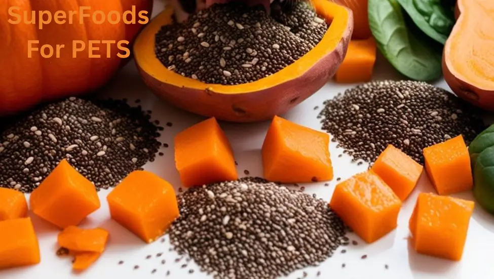 Superfoods for Pets: Incorporating Nutrient-Rich Ingredients into Your Recipes