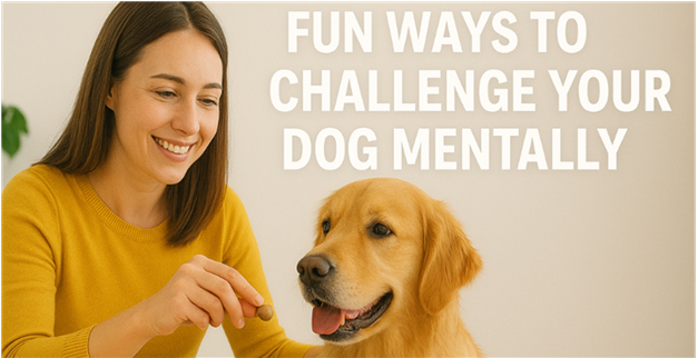 10 Fun Ways to Challenge Your Dog Mentally and Keep Them Engaged
