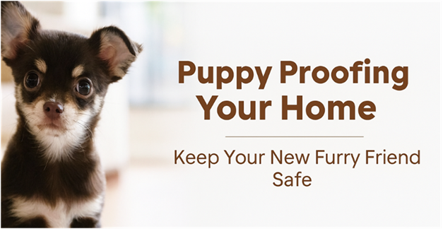 Essential Tips for Puppy Proofing Your Home: Keep Your New Furry Friend Safe