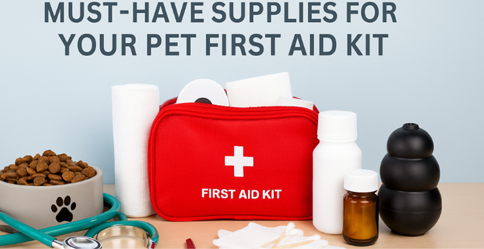 Top 10 Must-Have Supplies for Your Pet First Aid Kit